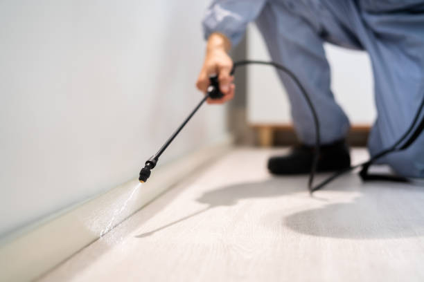 Professional exterminator conducting IPM assessment in Bertsch-Oceanview