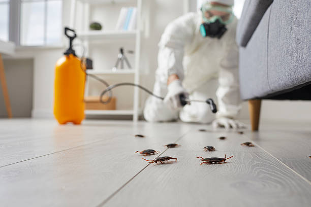 Commercial Kitchen Cockroach Control in Bertsch-Oceanview